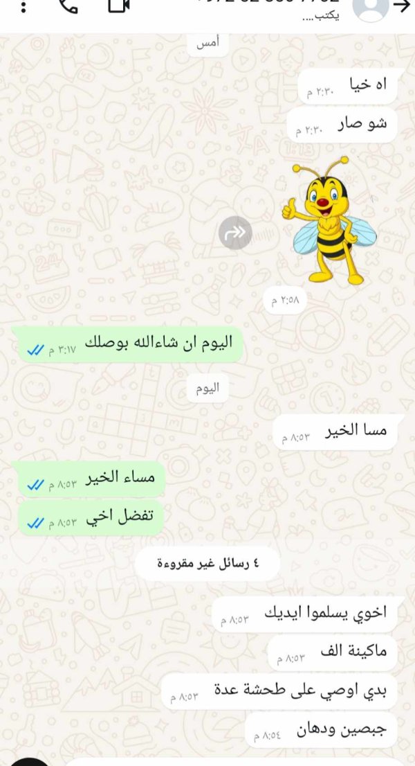 نجيب 